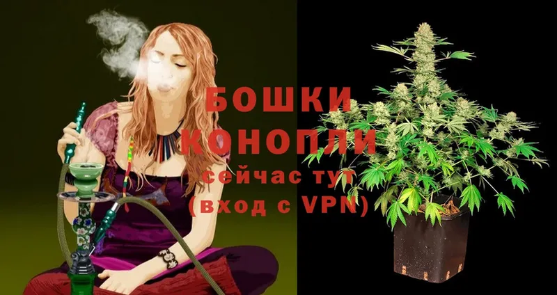 МЕГА как войти  где купить наркоту  Щёкино  Бошки Шишки Ganja 